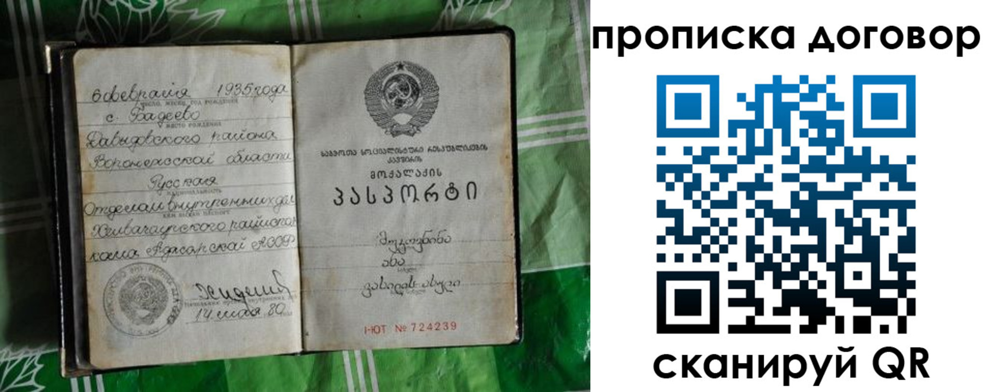 прописка в Почепе